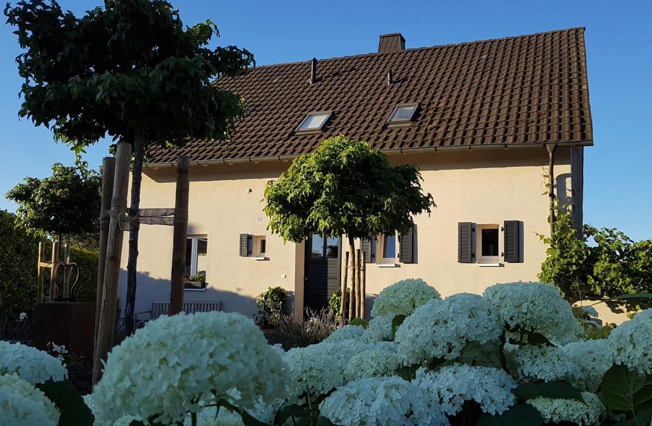 Gleisberg3 - Suedliche Weinstrasse Leilighet Billigheim-Ingenheim Eksteriør bilde